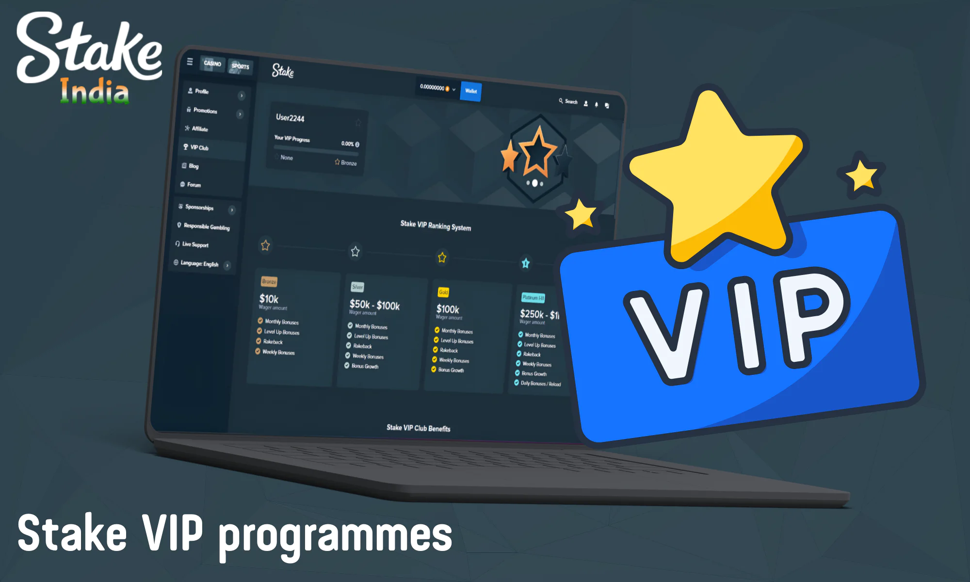 Stake offers a VIP rating system with 4 levels